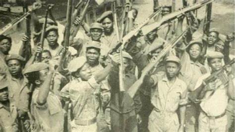 A resistencia a colonizacao a historia dos movimentos de libertacao africana