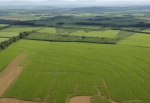 As mudanças no uso da terra na pré-história africana