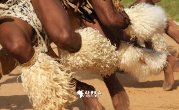 A Resistência de Zulu Sob o Comando de Shaka