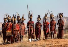 Os San: Os Guardiões Ancestrais do Kalahari